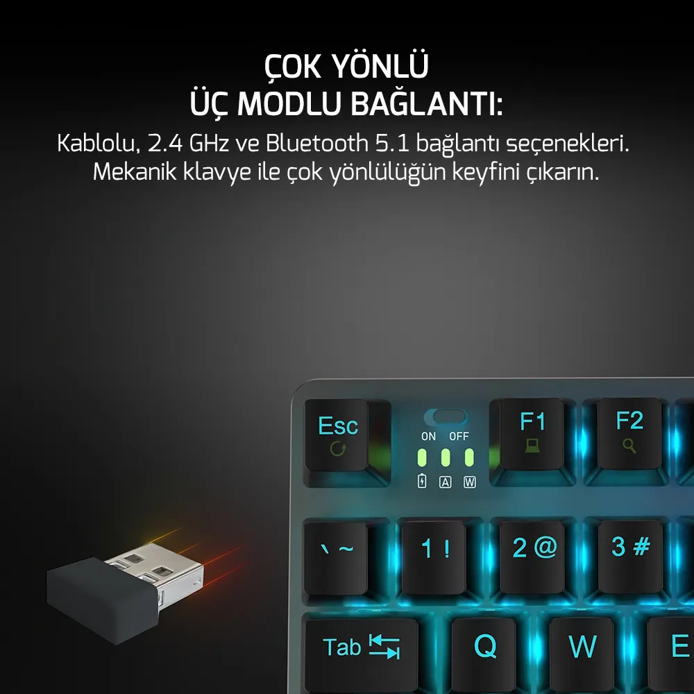 GamePower Eva 7 60M Mekanik Kablolu, 2.4Ghz, Bluetooth 3 Mod Red Switch Türkçe Q 88 Tuş USB RGB Gaming Klavye