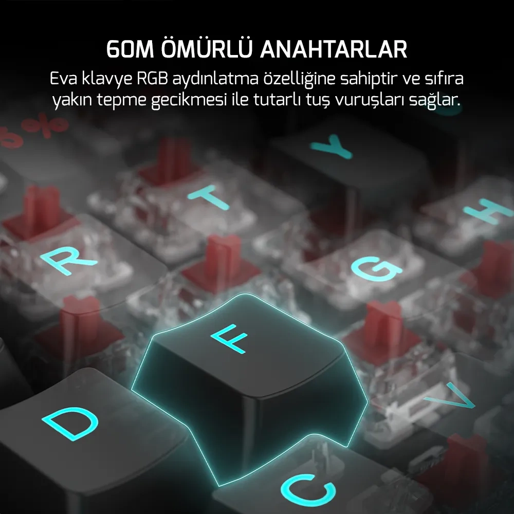 GamePower Eva 7 60M Mekanik Kablolu, 2.4Ghz, Bluetooth 3 Mod Red Switch Türkçe Q 88 Tuş USB RGB Gaming Klavye