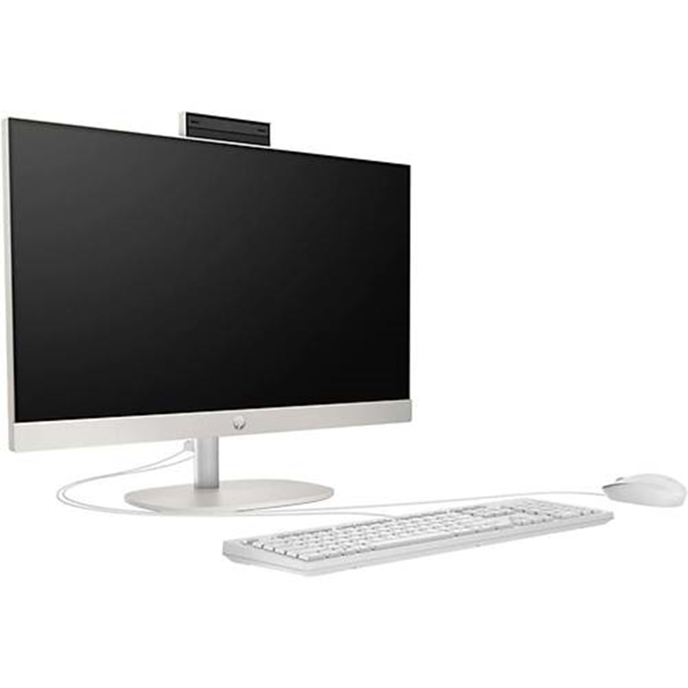 HP AIO 240 G10 623Z4ET i3-N300 8 GB RAM 256 GB SSD 23.8 INCH DOS