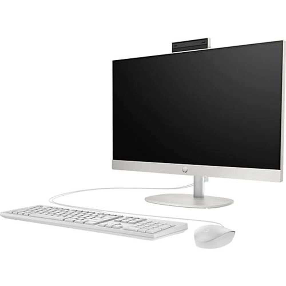 HP AIO 240 G10 623Z4ET i3-N300 8 GB RAM 256 GB SSD 23.8 INCH DOS