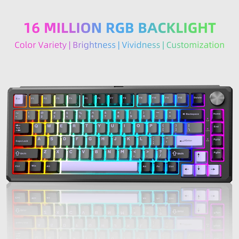 MAGEGEE CAPTAIN75 WIRELESS/BT/KABLOLU RGB HOT SWAP GAMING KLAVYE
