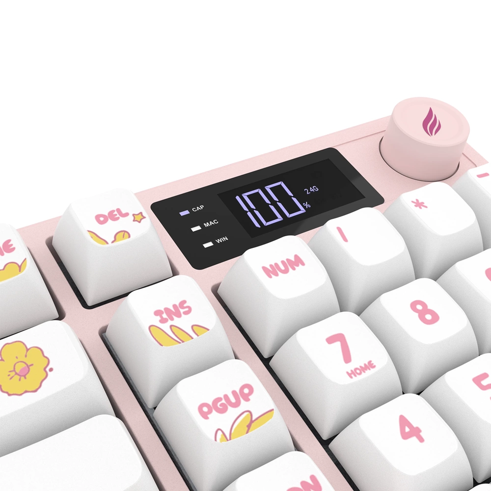 HAWK GAMING HK258WP KABLOSUZ BEYAZ PEMBE KLAVYE