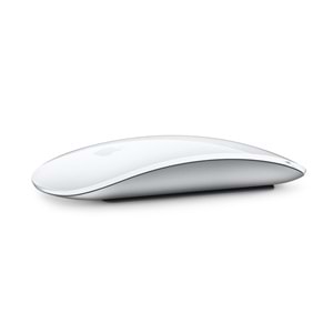 APPLE MAGIC MOUSE