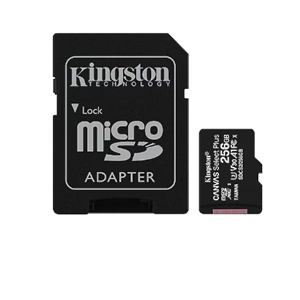 KINGSTON 256 GB MICRO SD CANVAS GO PLUS