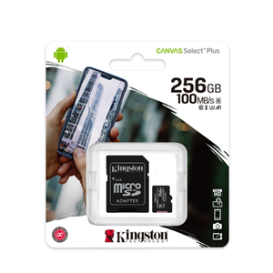KINGSTON 256 GB MICRO SD CANVAS GO PLUS