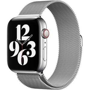 WIWU ÇELİK PASLANMAZ ÇELİK 42-44-45MM UYUMLU KORDON SILVER