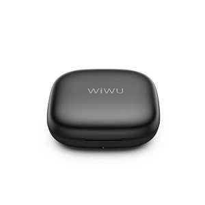 WIWU WM006 2in1 Type-C Portlu ANC Özellikli Kablosuz Mikrofon