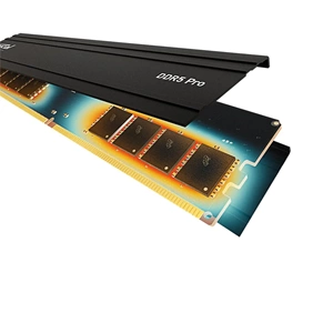 Crucial Pro 32GB 5600Mhz DDR5 CL46 CP32G56C46U5 Soğutuculu PC RAM
