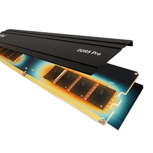 Crucial Pro 16GB DDR5-5600 CL46 Soğutuculu PC RAM