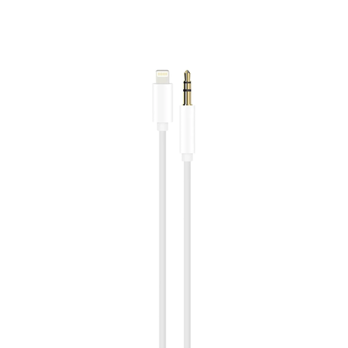 POWERWAY LIGHTNING TO 3.5 AUX AUDIO ADAPTER