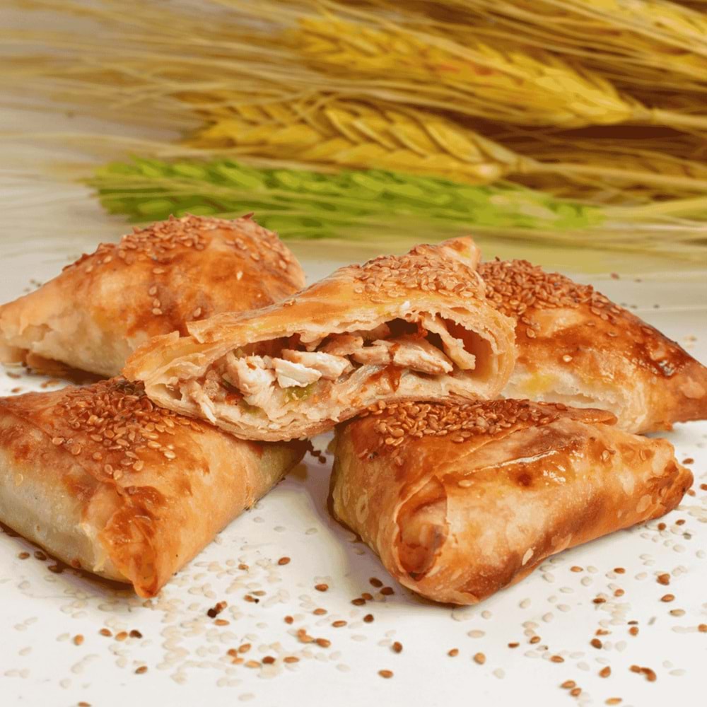 Tavuklu Börek