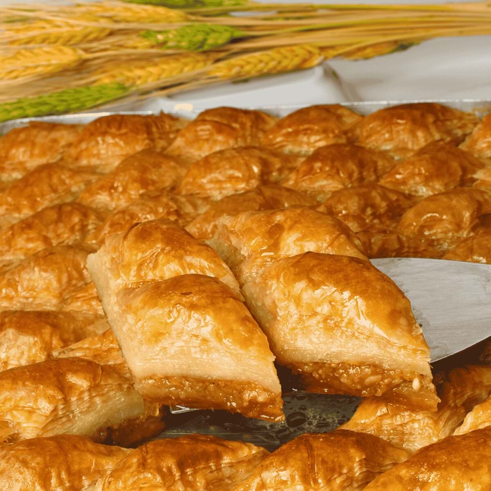 Fındıklı Köy Baklavası